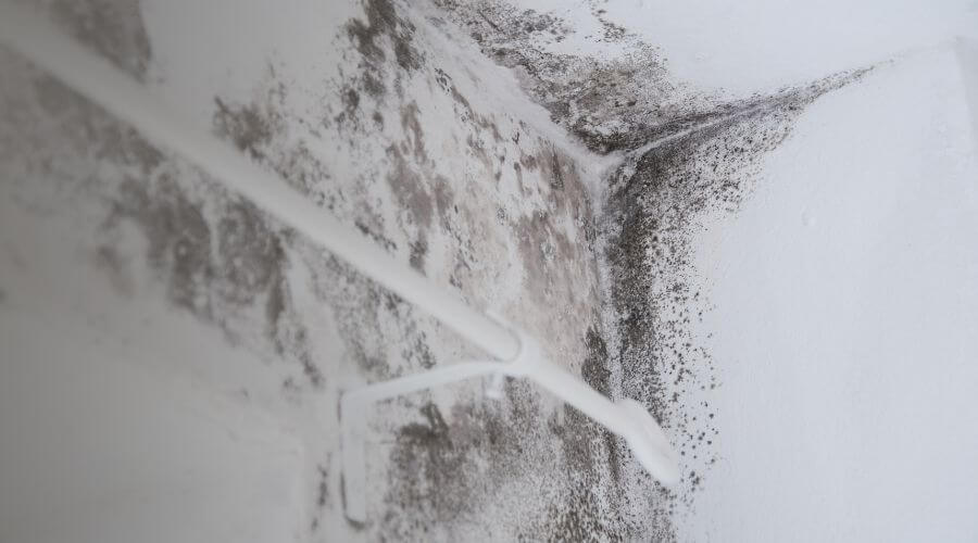 Why choose NexaDrift for water damage restoration in Montebello